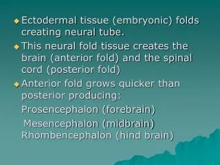 Ectodermal tissue (embryonic) folds creating neural tube.