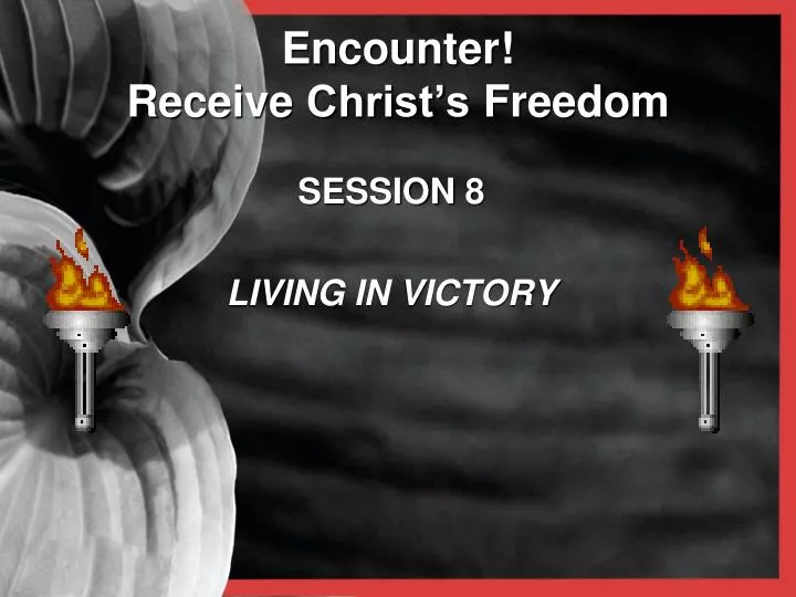 encounter receive christ s freedom