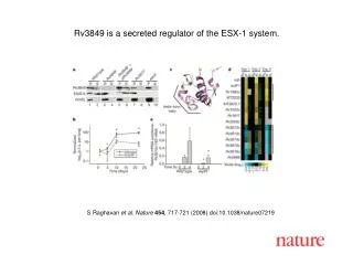 S Raghavan et al. Nature 454 , 717-721 (2008) doi:10.1038/nature07219