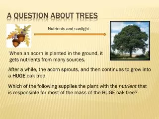 A question about trees