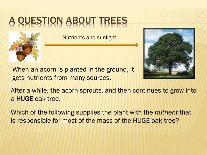 a question about trees