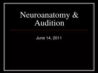 Neuroanatomy &amp; Audition