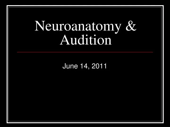 neuroanatomy audition