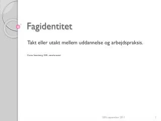 fagidentitet