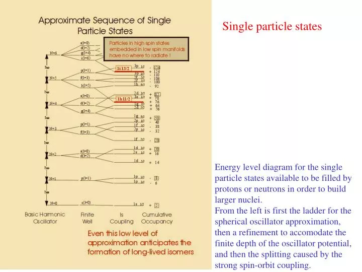 single particle states