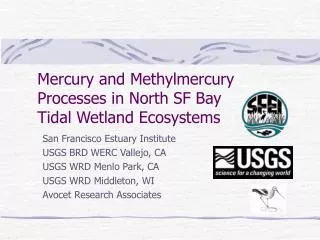 Mercury and Methylmercury Processes in North SF Bay Tidal Wetland Ecosystems