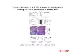 JM Suh et al. Nature 000 , 1-4 (2014) doi:10.1038/nature13540