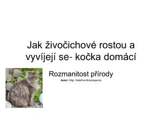 jak ivo ichov rostou a vyv jej se ko ka dom c