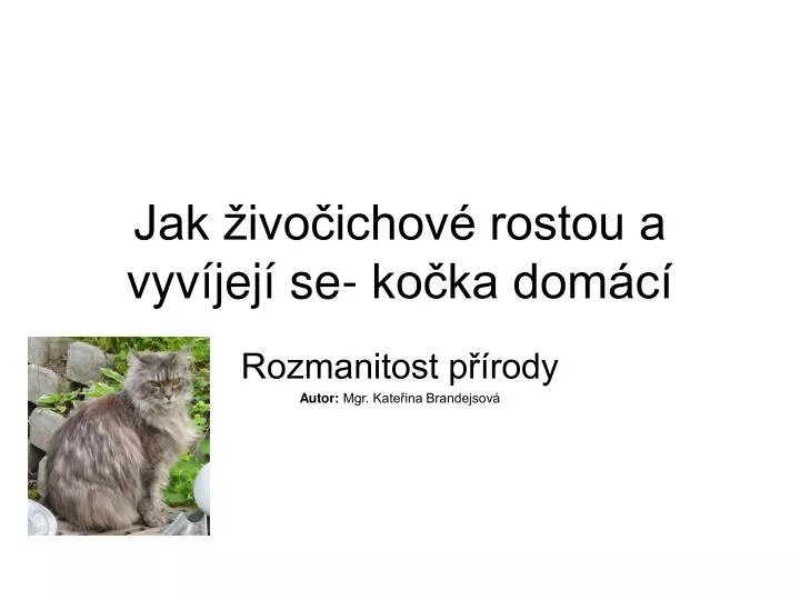 jak ivo ichov rostou a vyv jej se ko ka dom c