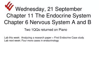 Wednesday, 21 September Chapter 11 The Endocrine System Chapter 6 Nervous System A and B