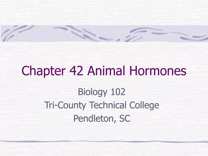 chapter 42 animal hormones