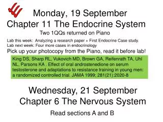 Monday, 19 September Chapter 11 The Endocrine System