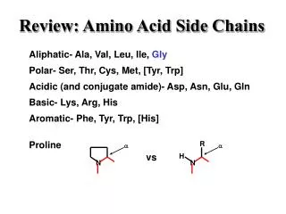 Review: Amino Acid Side Chains