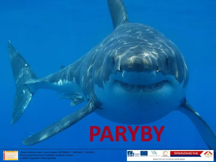 paryby