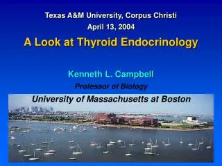 Texas A&amp;M University, Corpus Christi April 13, 2004 A Look at Thyroid Endocrinology