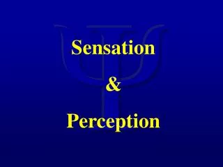 Sensation &amp; Perception