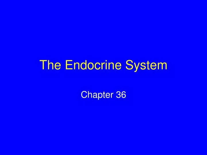 the endocrine system