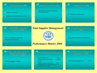 Total Supplier Management Performance Metrics 2004