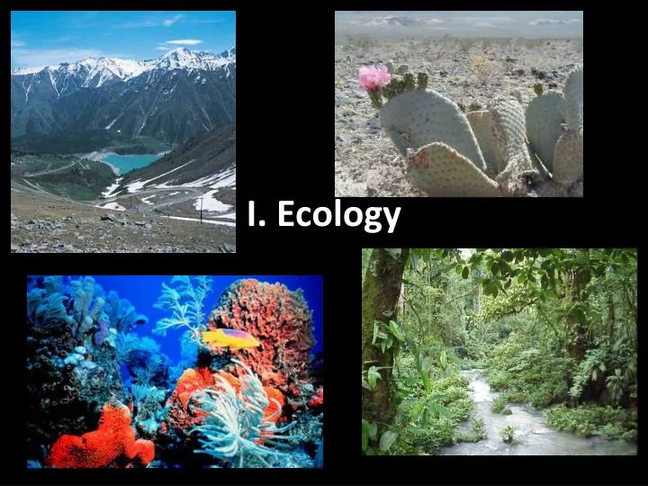 i ecology