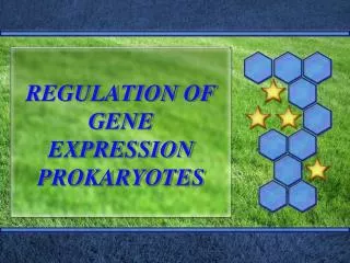 REGULATION OF GENE EXPRESSION PROKARYOTES