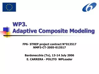 WP3. Adaptive Composite Modeling