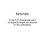 Karyotype - slide 1