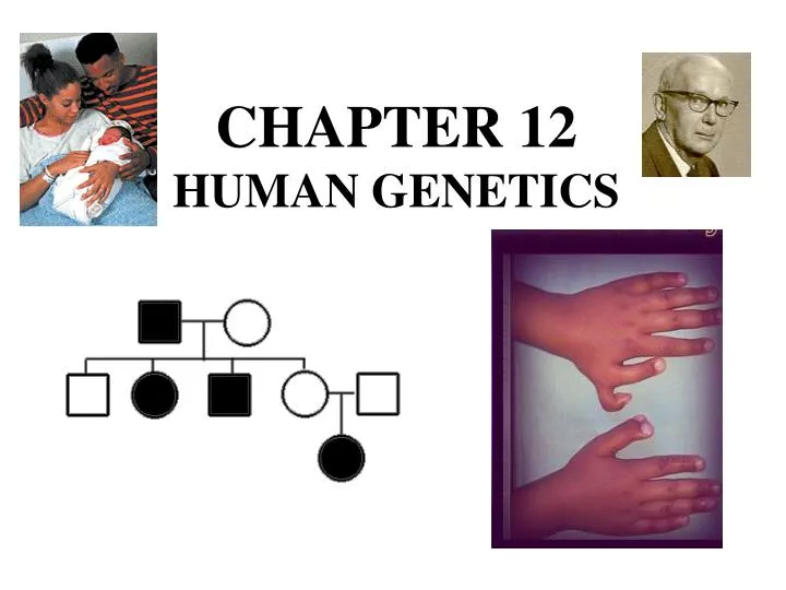 chapter 12 human genetics