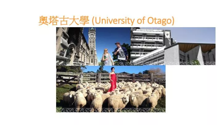 university of otago