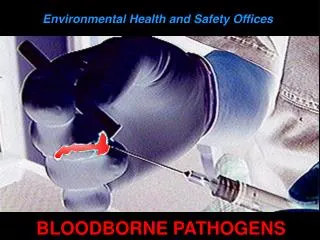 BLOODBORNE PATHOGENS