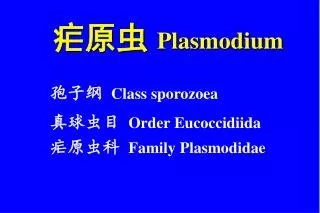 plasmodium