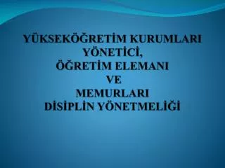 y ksek ret m kurumlari y net c ret m elemani ve memurlari d s pl n y netmel