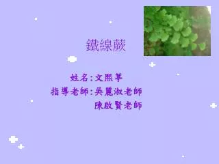 slide1