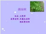 鐵線蕨 - slide 1