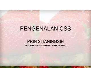 PENGENALAN CSS