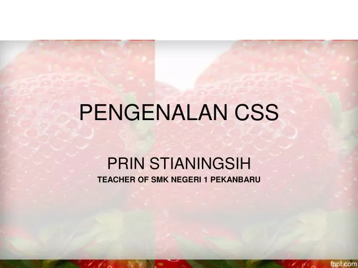 pengenalan css