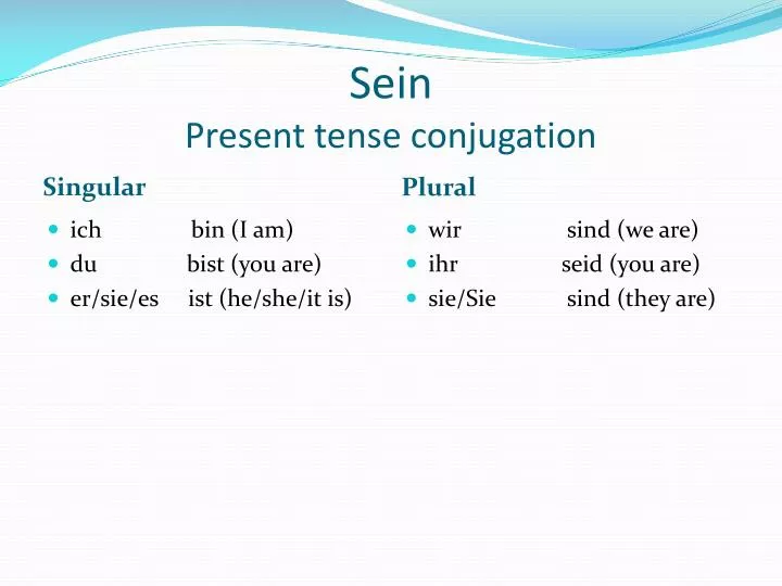 sein present tense conjugation