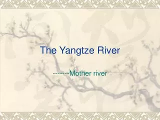 the yangtze river