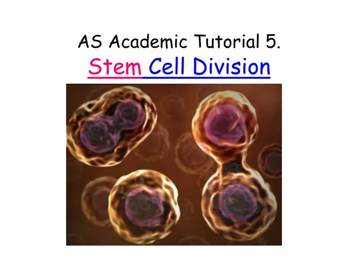 as academic tutorial 5 stem cell division