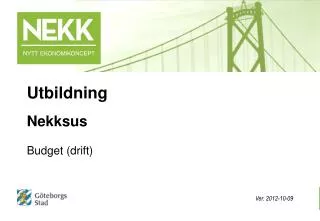 nekksus budget drift