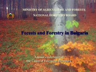 Forests and Forestry in Bulgaria