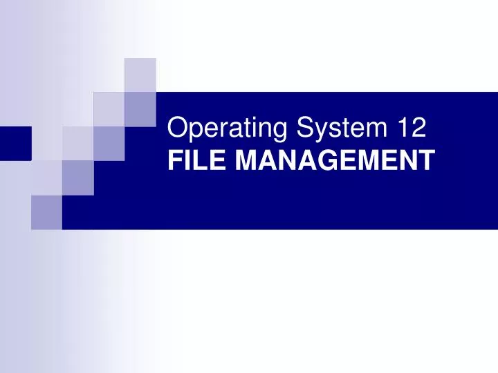 operating system 12 file management