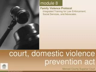 court, domestic violence prevention act