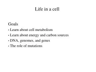 Life in a cell