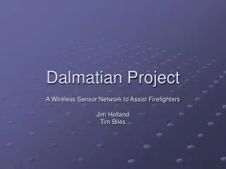 Dalmatian Project