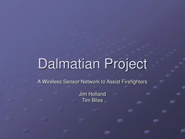 dalmatian project