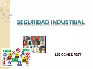 lee gomez feist