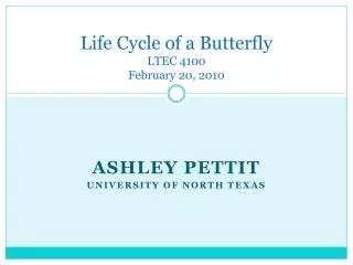 Life Cycle of a Butterfly LTEC 4100 February 20, 2010