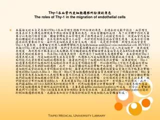 thy 1 the roles of thy 1 in the migration of endothelial cells