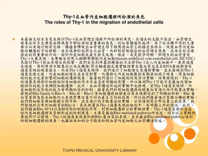 thy 1 the roles of thy 1 in the migration of endothelial cells