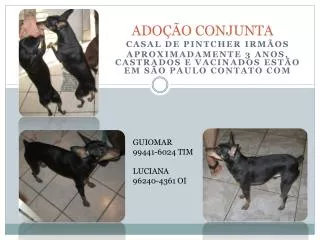 ado o conjunta